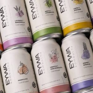 KOMBUCHA EYWA 354 CC SABORES VARIOS