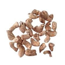 HONGOS SHITAKE EN TALLOS
