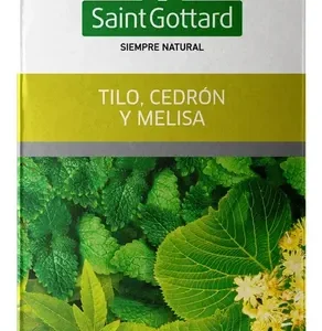 TE SAINT GOTTARD TILO CEDRON MELISA