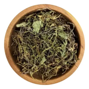 CENTELLA ASIATICA