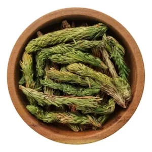 COLA DE QUIRQUINCHO